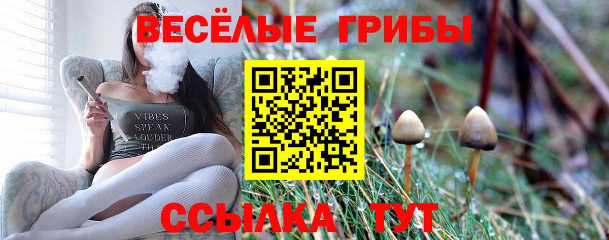 Псилоцибиновые грибы GOLDEN TEACHER Ангарск