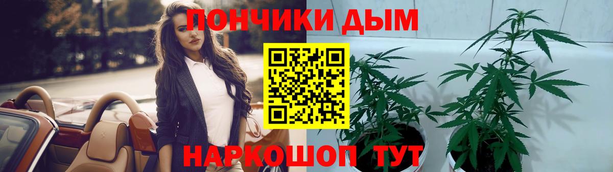 Шишки марихуана Amnesia Ангарск